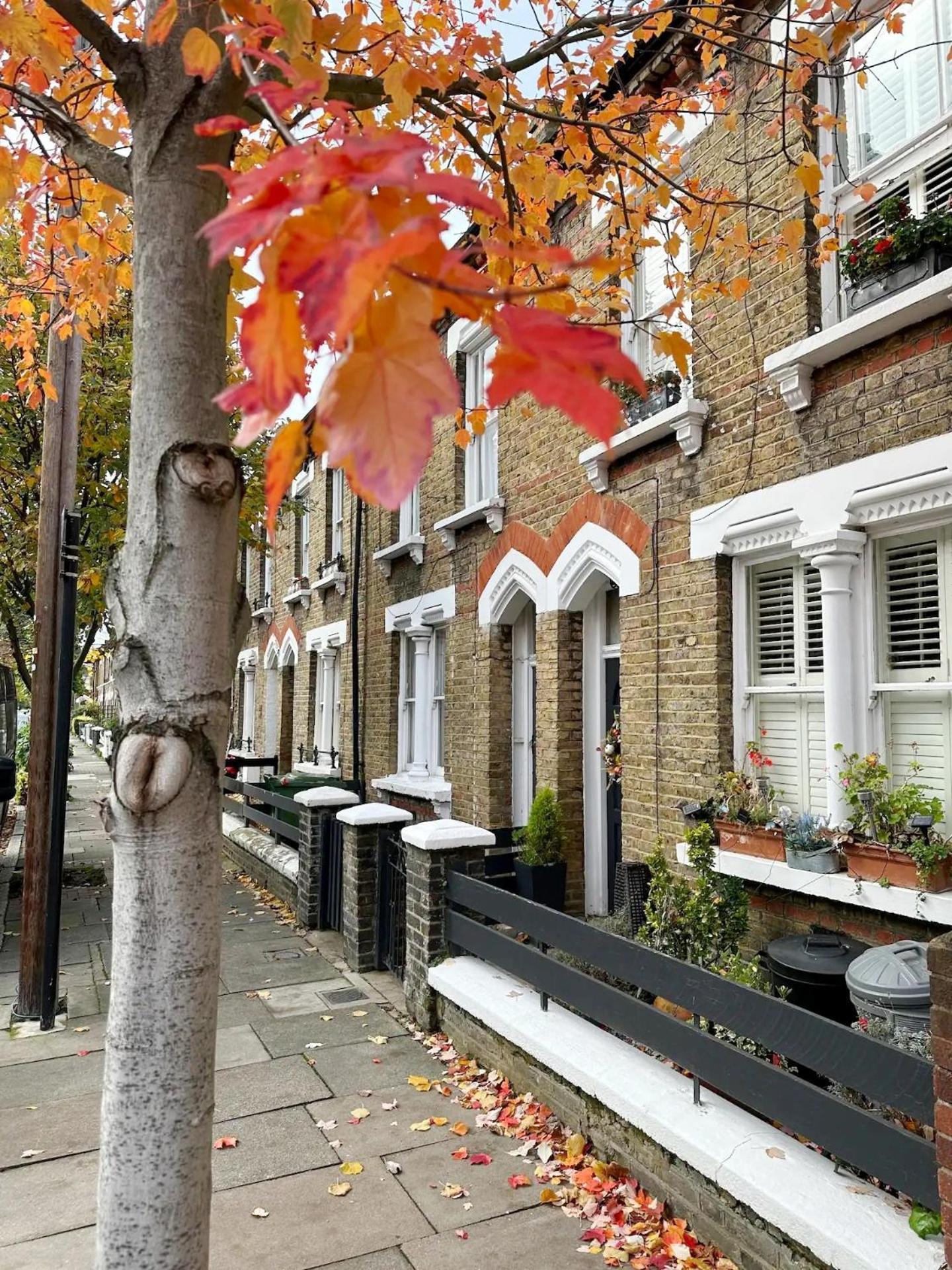 Charming In Battersea Apartment